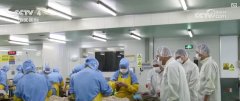 <b>市场监管部分严酷食物添加剂出产、发卖和利用</b>