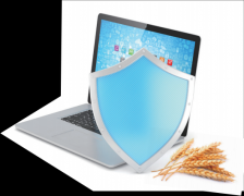 <b>化成为社会信用系统高质量扶植的环节力量</b>